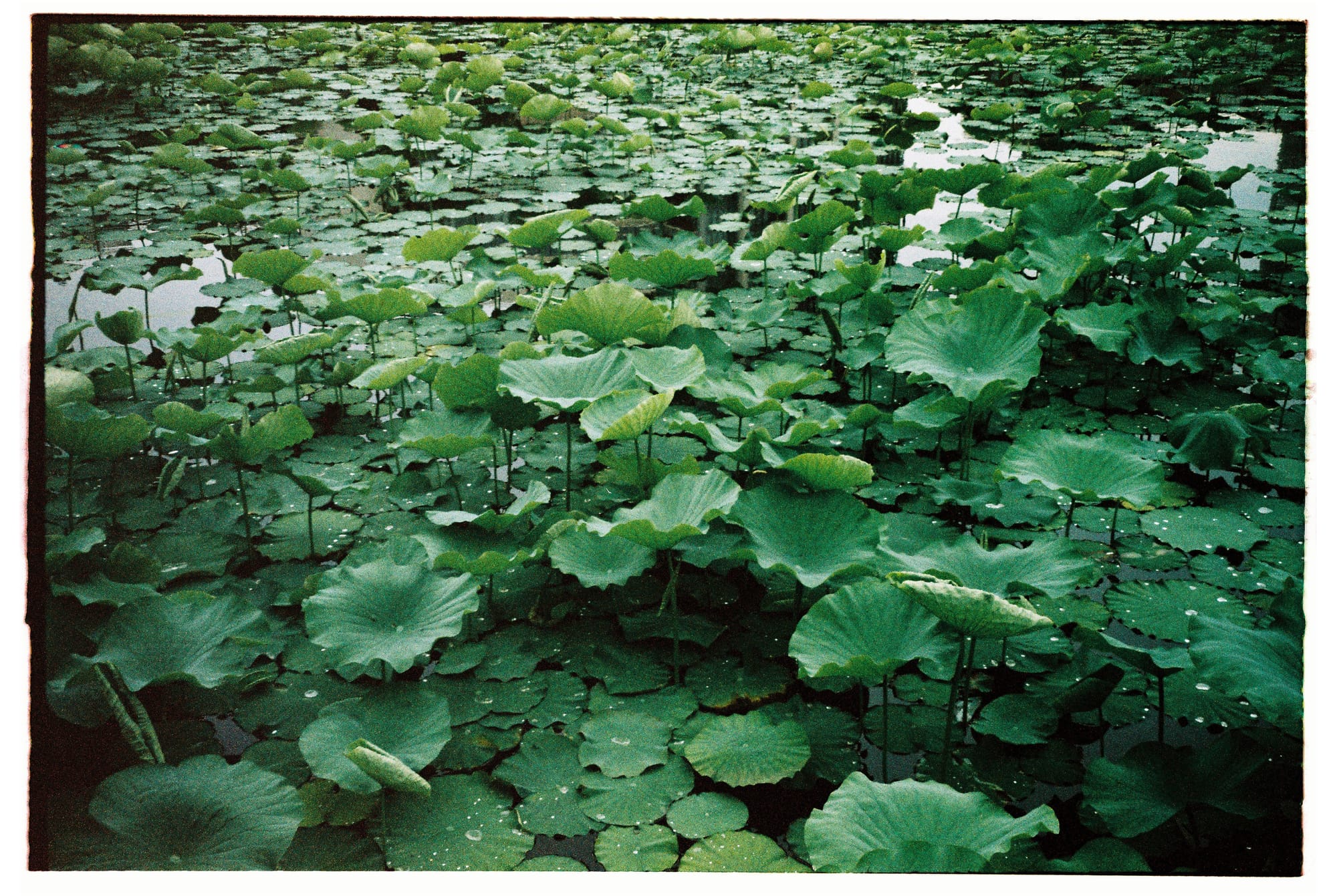 We accidentally celebrated Tokyo Sky Tree's birthday