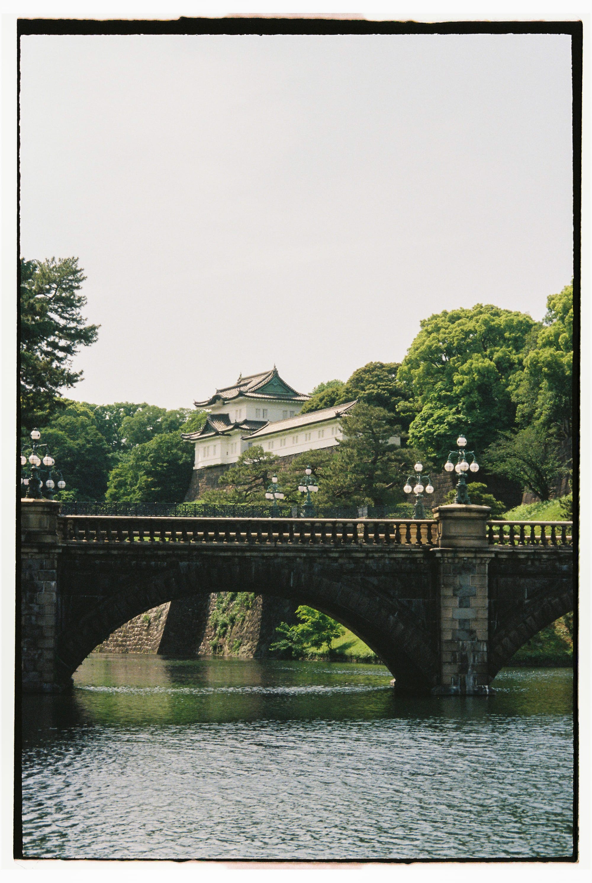 Yakitori, turtles and photographers