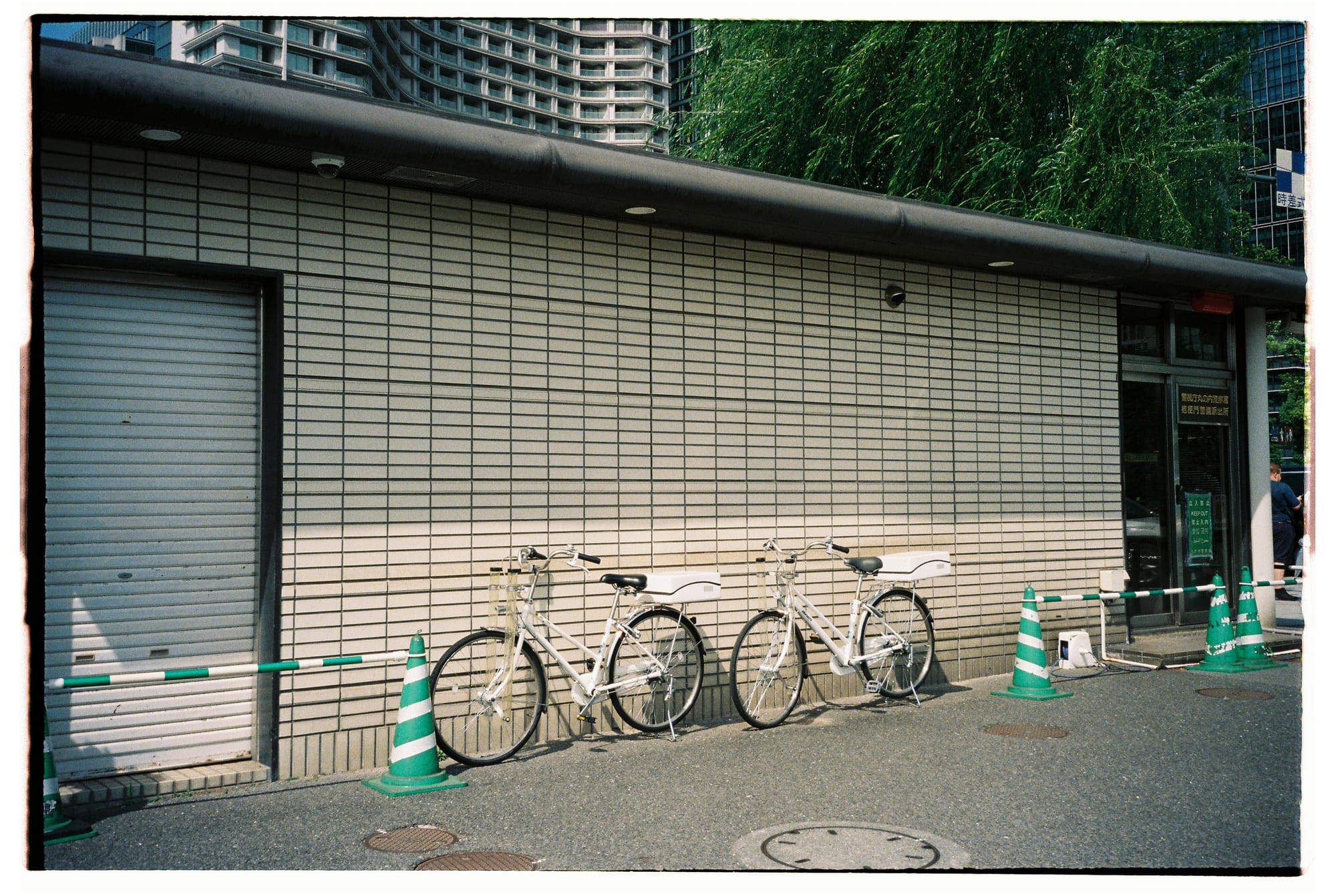 Yakitori, turtles and photographers