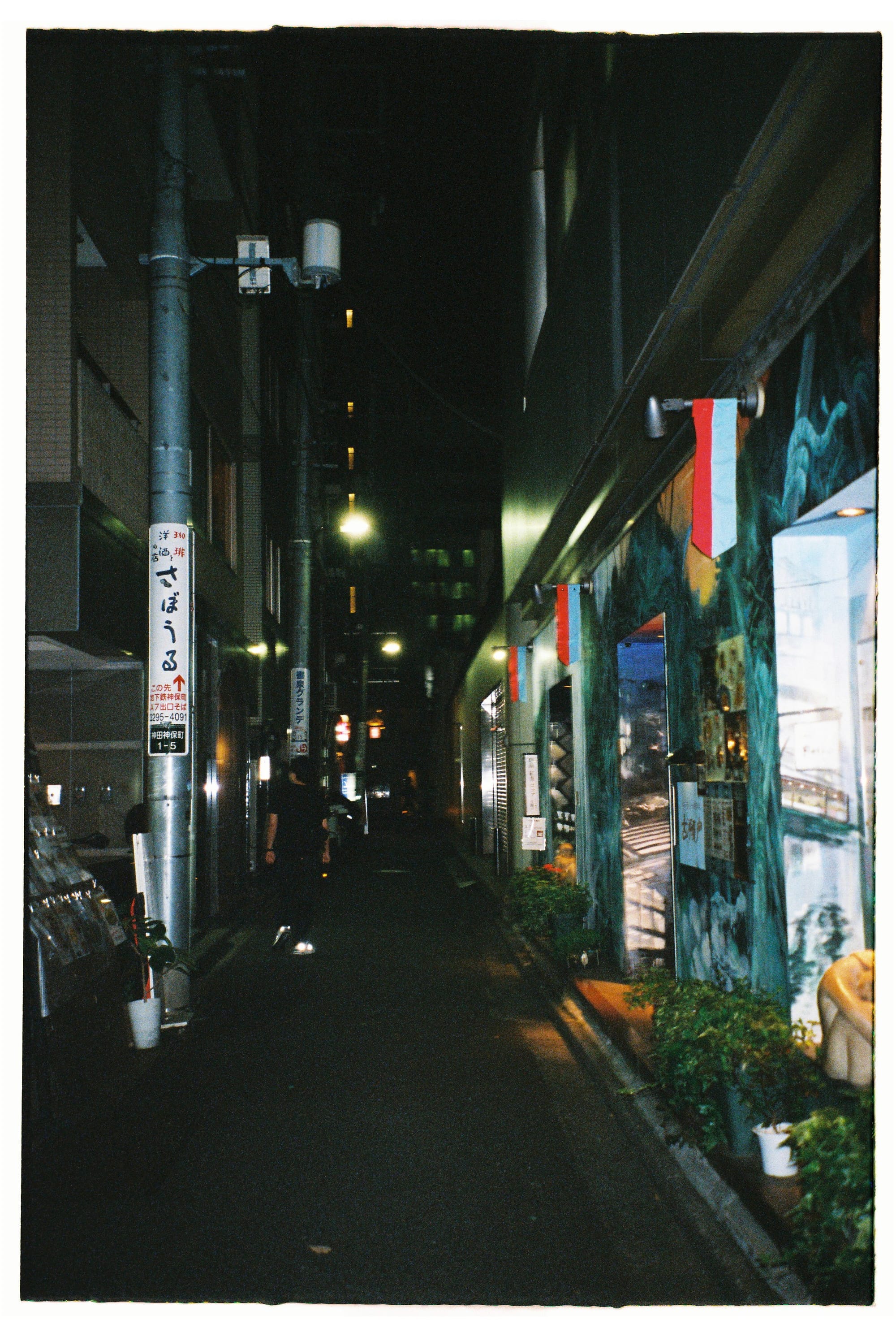 Yakitori, turtles and photographers