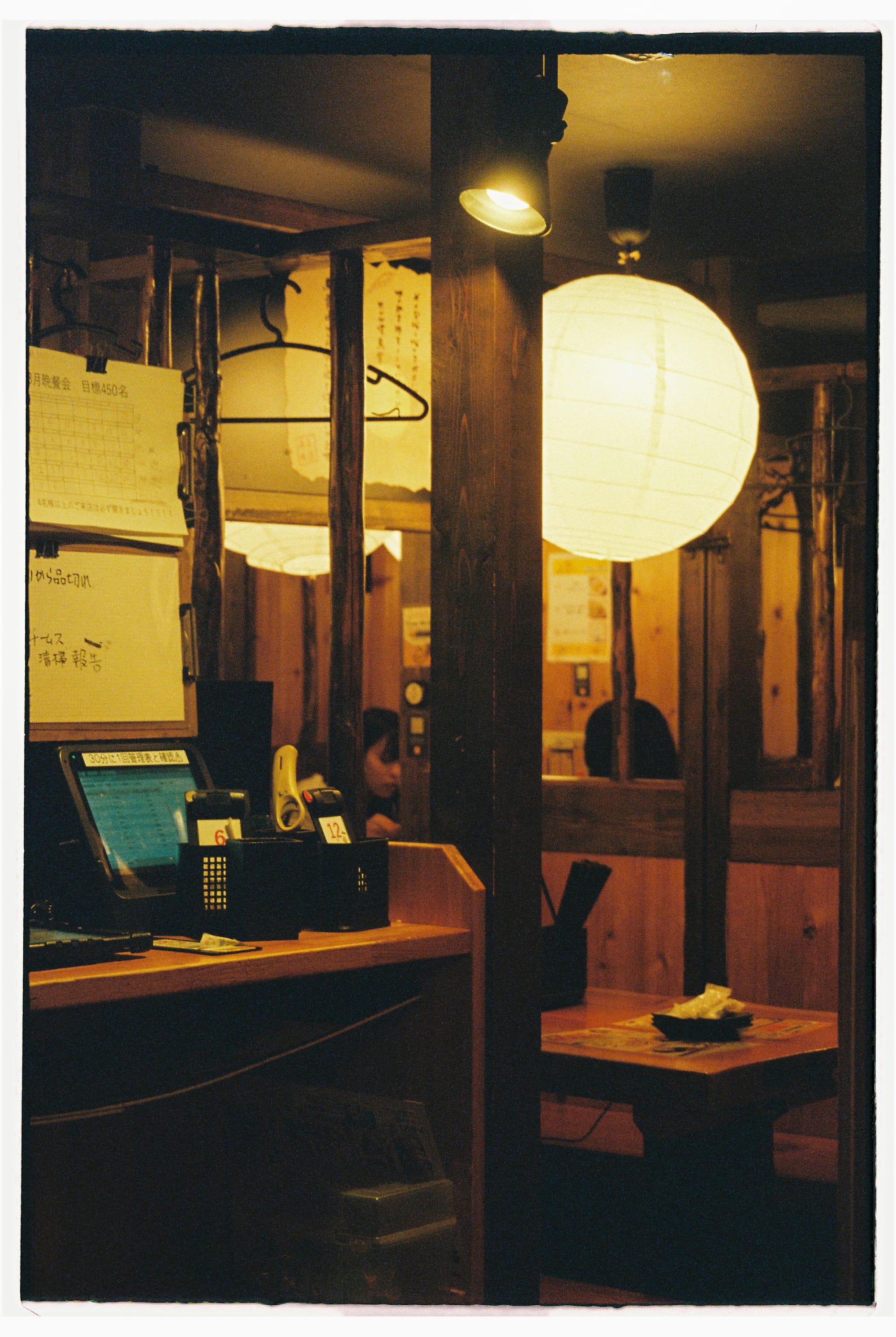 Yakitori, turtles and photographers