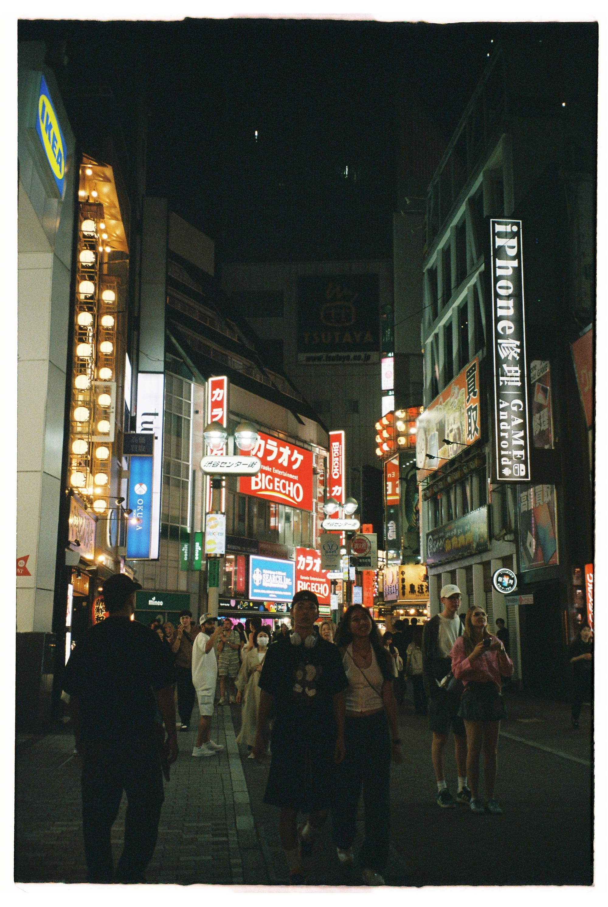 Yakitori, turtles and photographers