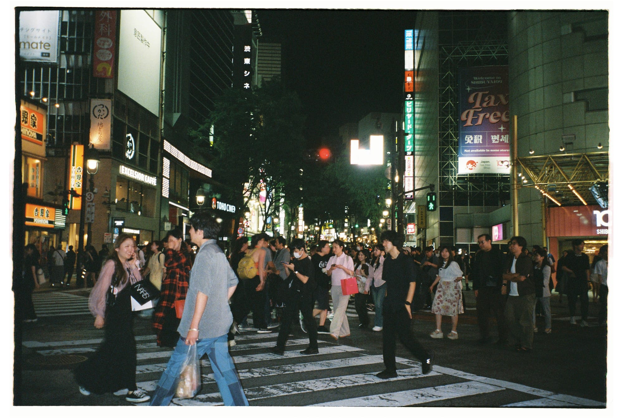 Yakitori, turtles and photographers
