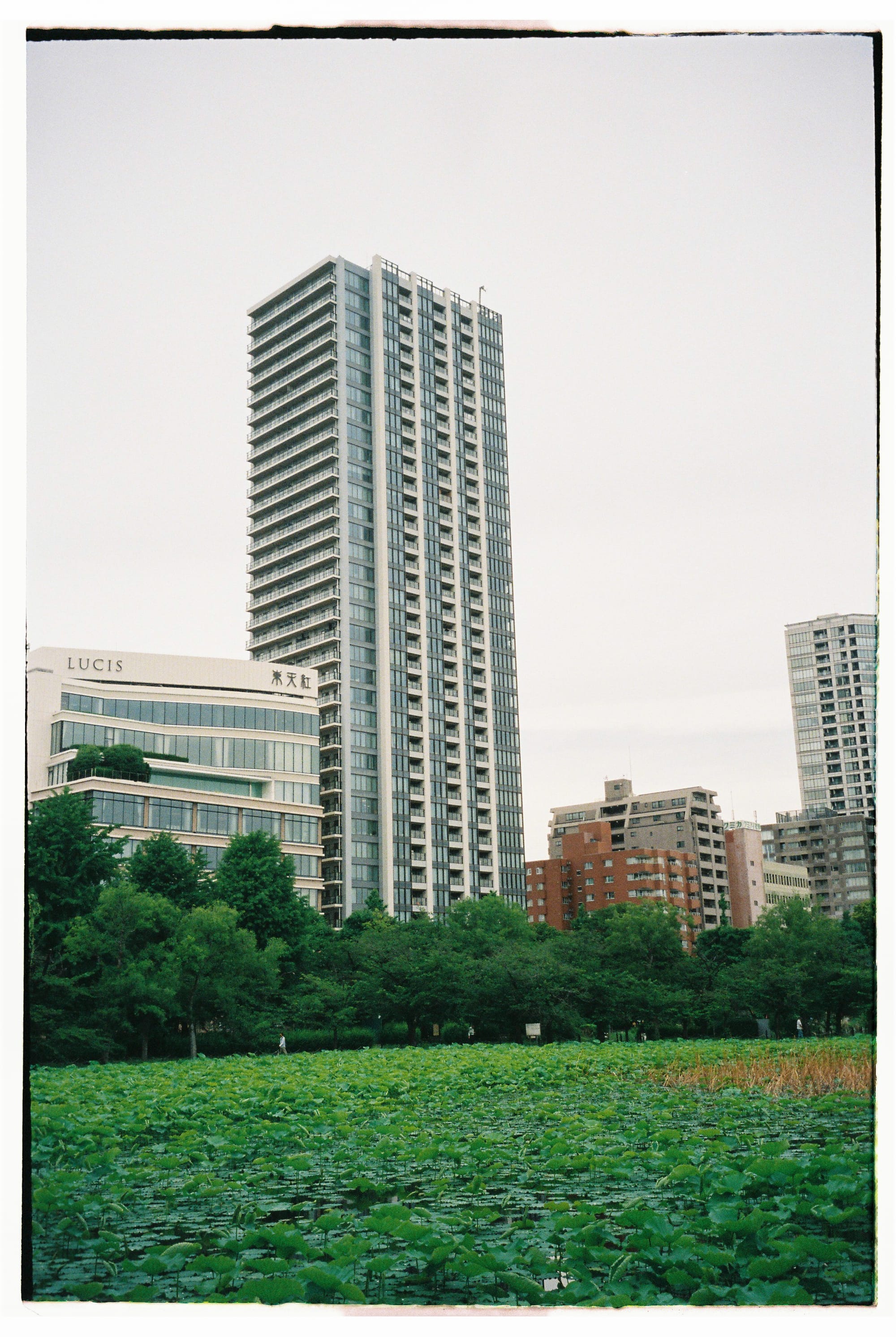 1/12th film roll used in Japan