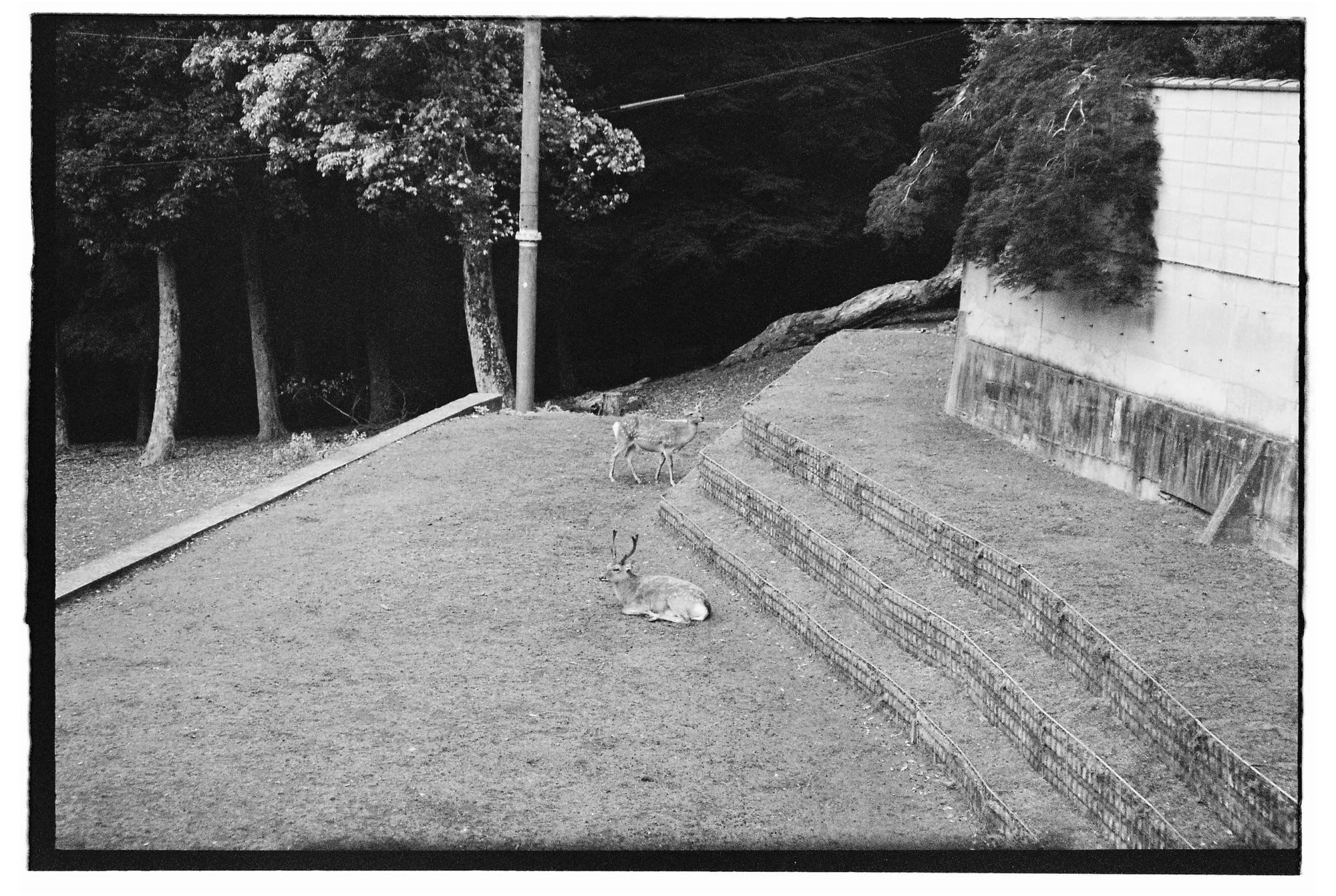 4/12th film roll used in Japan