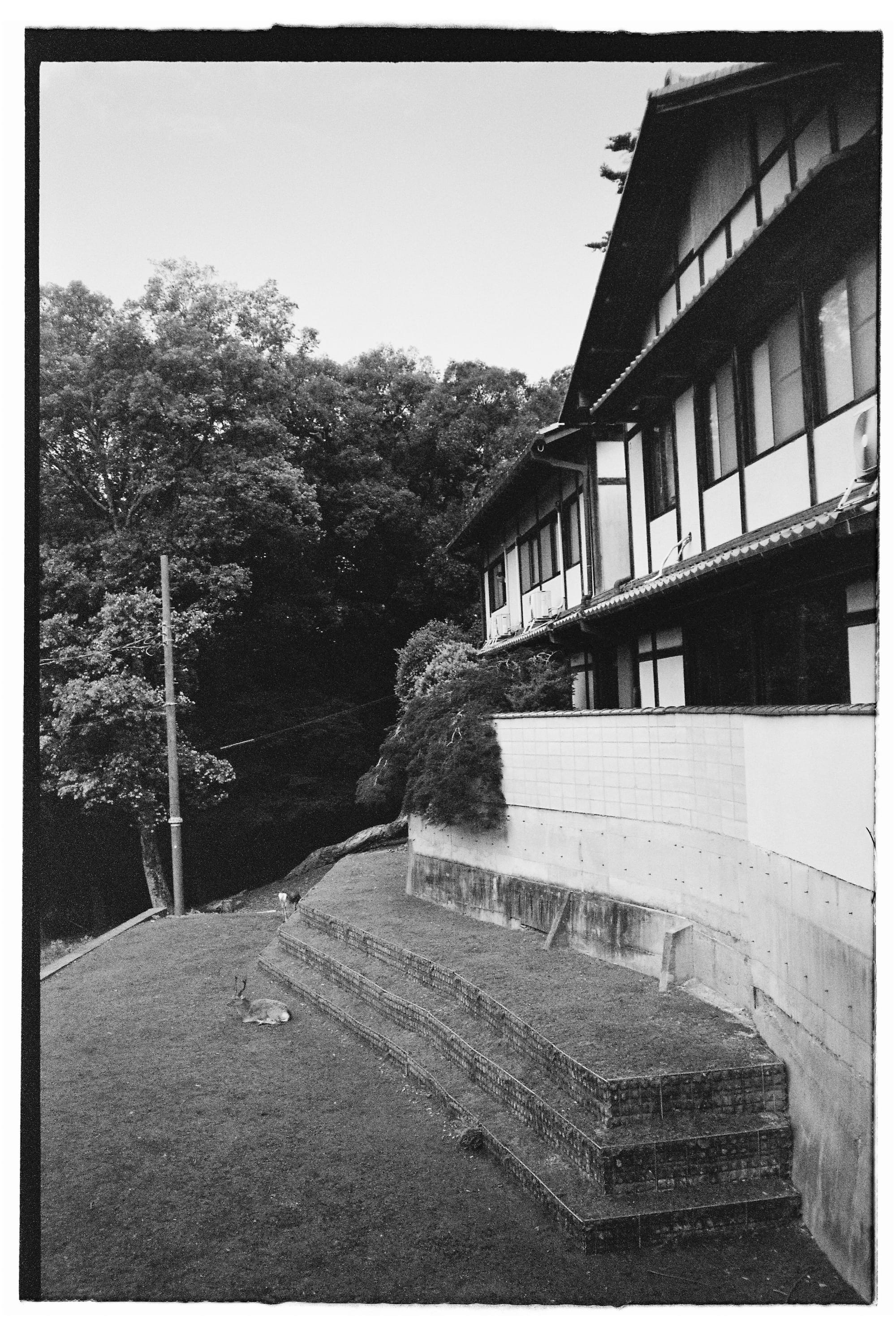 4/12th film roll used in Japan