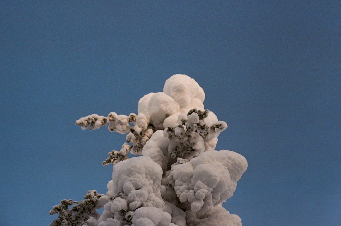 Exhibition - no nature, no future