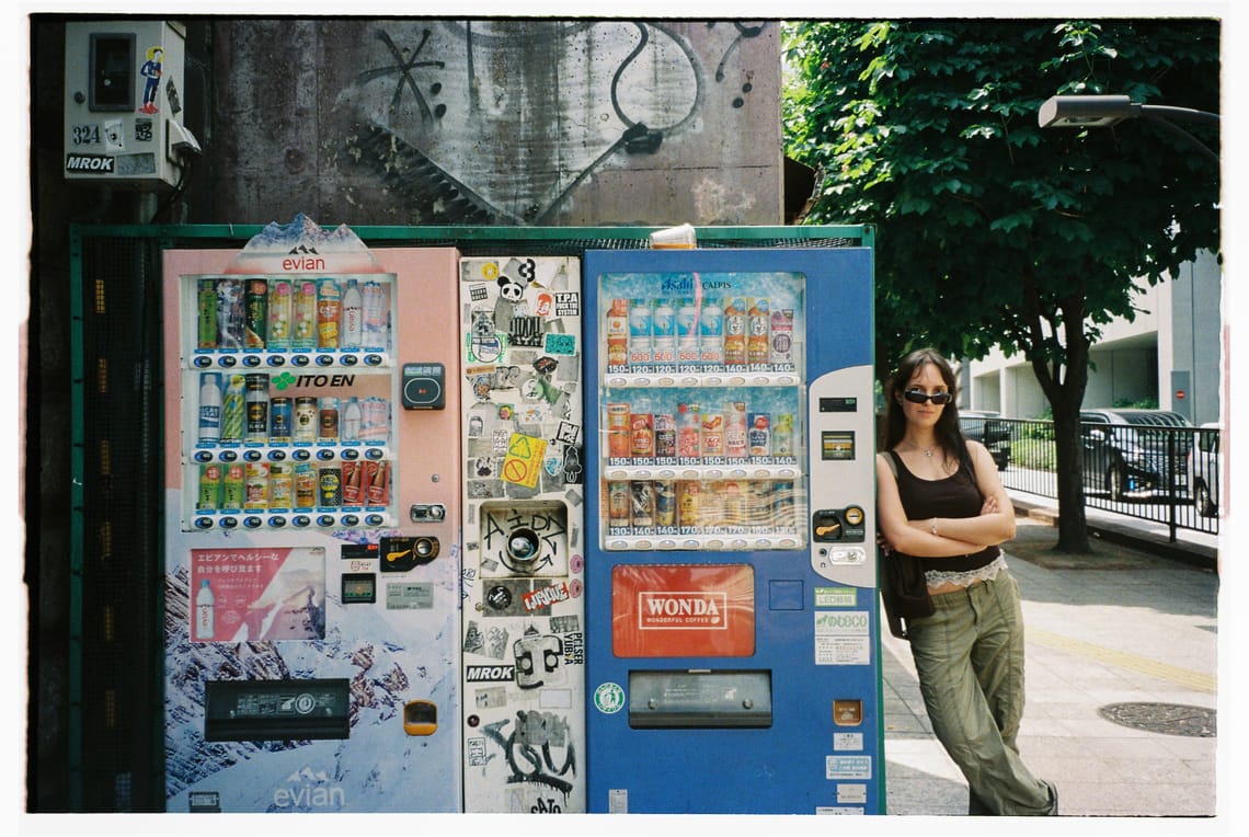 Yakitori, turtles and photographers