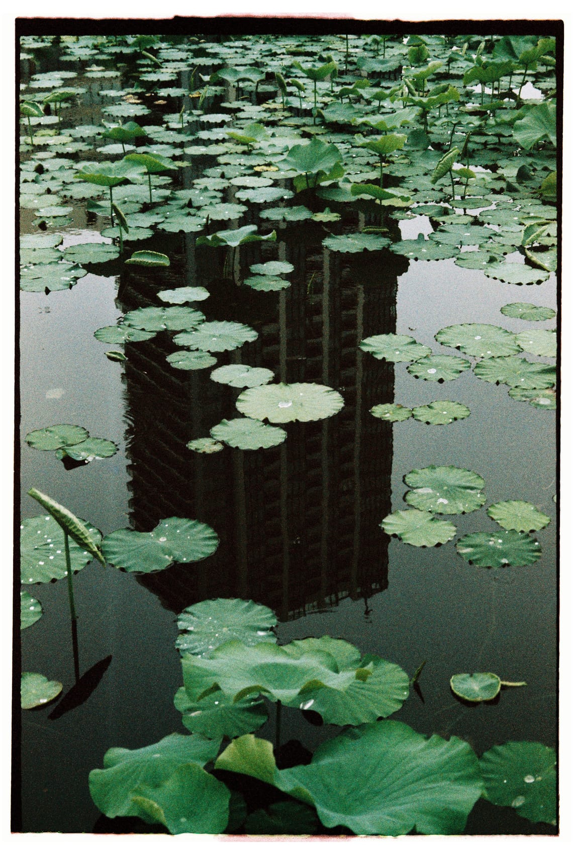 2/12th film roll used in Japan