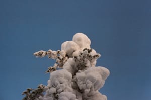 Exhibition - no nature, no future